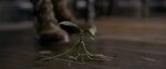 FANTASTIC_BEASTS_TCOG_chapter02.1004.jpg