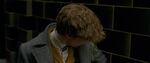 FANTASTIC_BEASTS_TCOG_chapter02.1015.jpg