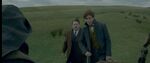 FANTASTIC_BEASTS_TCOG_chapter05.1005.jpg