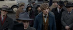 FANTASTIC_BEASTS.theatrical_00007879.jpg