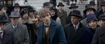 FANTASTIC_BEASTS.theatrical_00008748.jpg