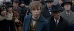 FANTASTIC_BEASTS.theatrical_00009661.jpg