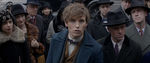 FANTASTIC_BEASTS.theatrical_00009739.jpg