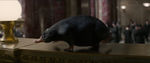 FANTASTIC_BEASTS.theatrical_00013199.jpg
