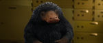 FANTASTIC_BEASTS.theatrical_00016858.jpg