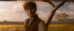 FANTASTIC_BEASTS.theatrical_00066031.jpg